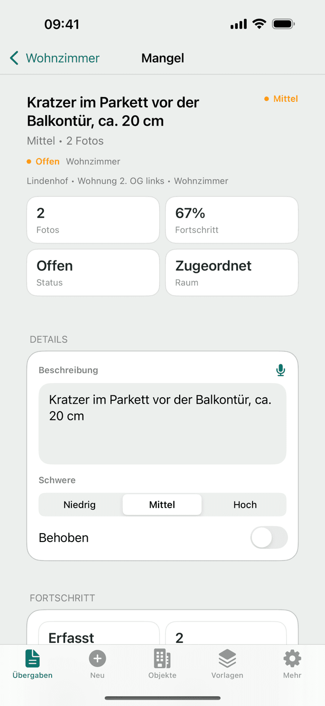 Mangel mit Beschreibung, Schweregrad und Fotos